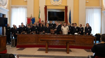immagine dell'articolo
