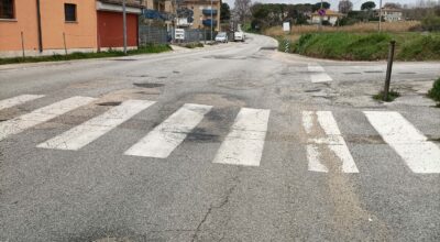 immagine dell'articolo