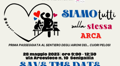 immagine dell'articolo