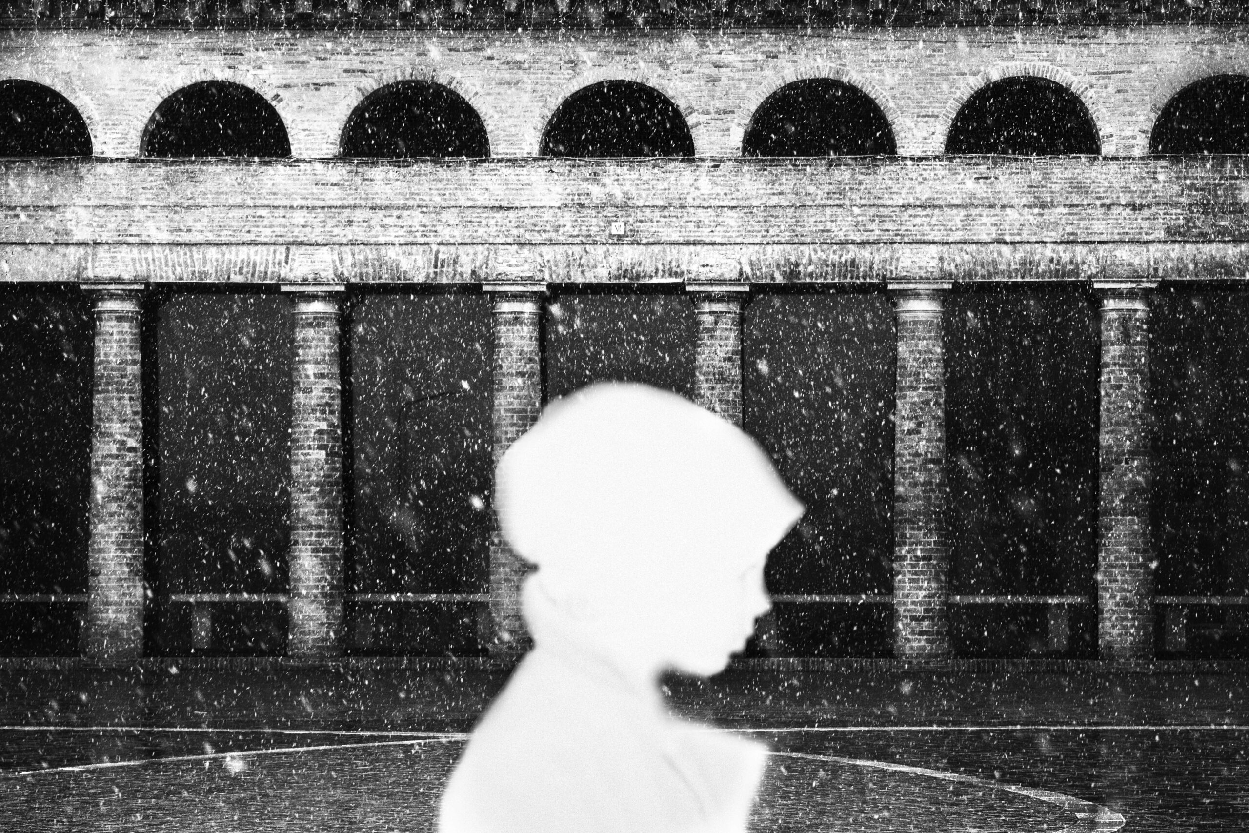 descrizione immagine